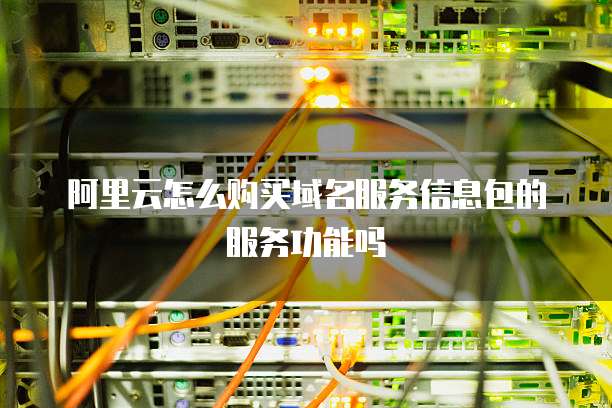 阿里云怎么购买域名服务信息包的服务功能吗