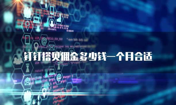 钉钉搭贝佣金多少钱一个月合适