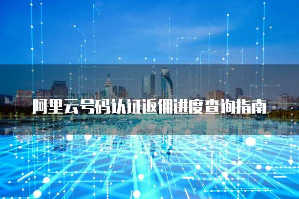 阿里云号码认证返佣进度查询指南