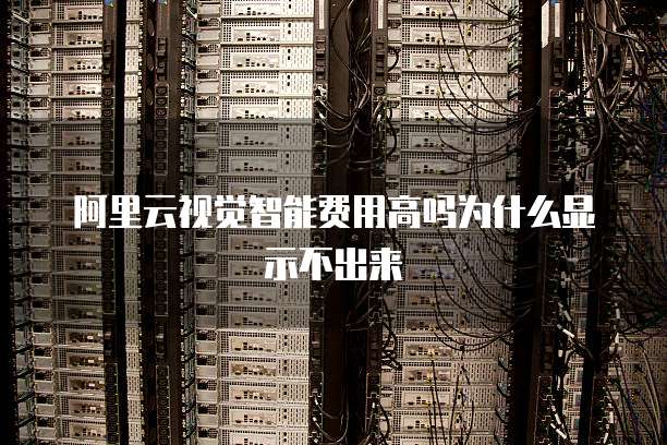 阿里云视觉智能费用高吗为什么显示不出来
