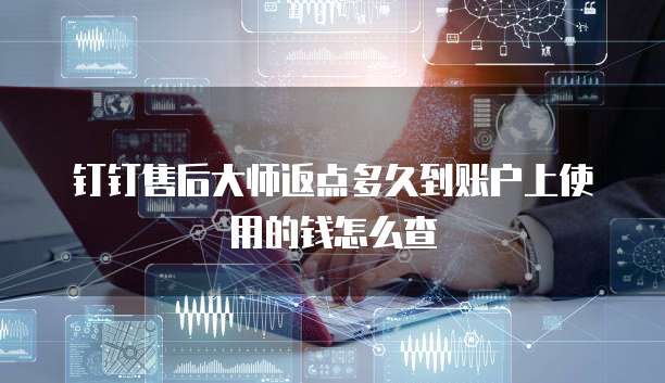钉钉售后大师返点多久到账户上使用的钱怎么查