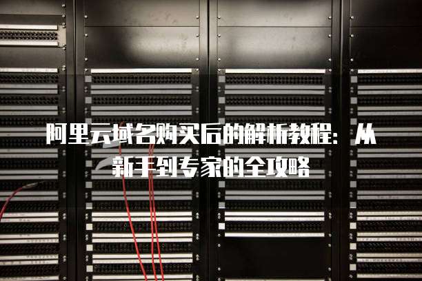 阿里云域名购买后的解析教程:从新手到专家的全攻略