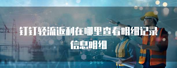 钉钉轻流返利在哪里查看明细记录信息明细