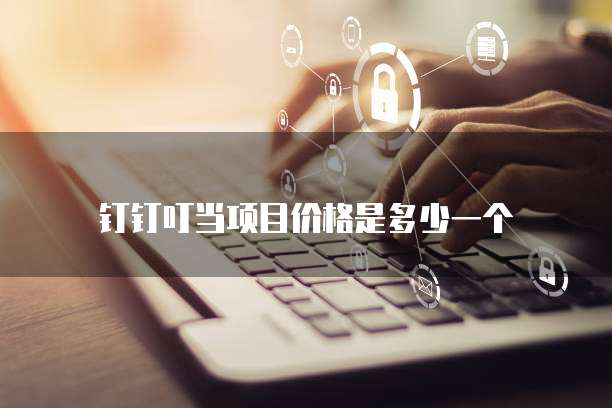 钉钉叮当项目价格是多少一个