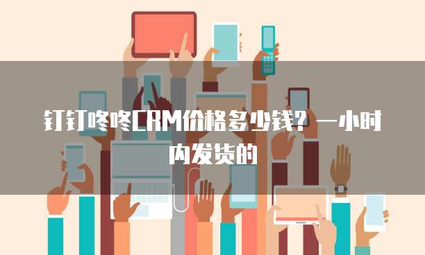 钉钉咚咚CRM价格多少钱？一小时内发货的