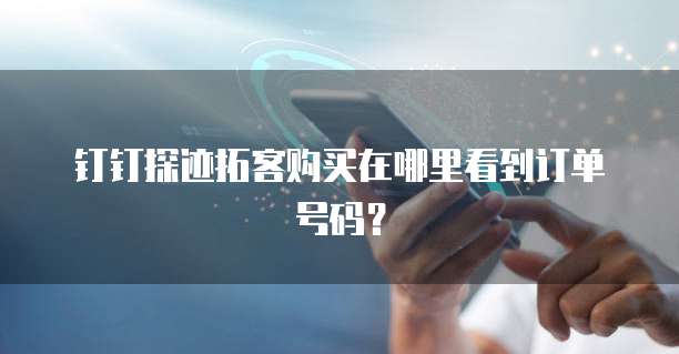 钉钉探迹拓客购买在哪里看到订单号码?