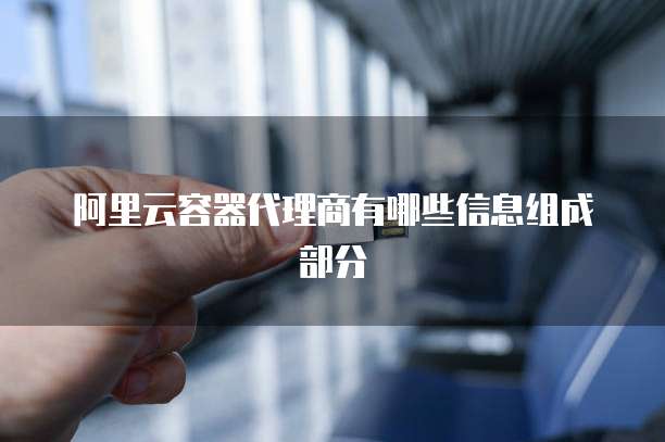 阿里云容器代理商有哪些信息组成部分