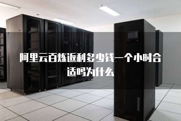 阿里云百炼返利多少钱一个小时合适吗为什么