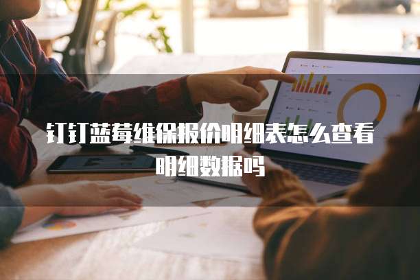 钉钉蓝莓维保报价明细表怎么查看明细数据吗