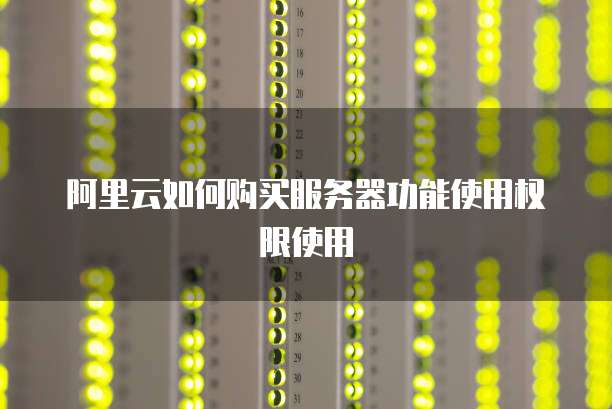 阿里云如何购买服务器功能使用权限使用