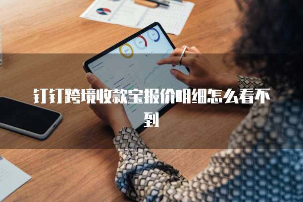 钉钉跨境收款宝报价明细怎么看不到