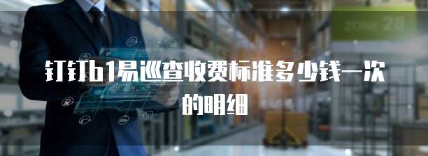 钉钉b1易巡查收费标准多少钱一次的明细