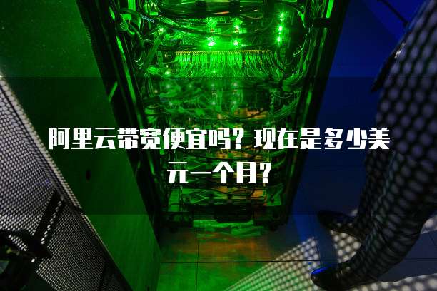 阿里云带宽便宜吗?现在是多少美元一个月?