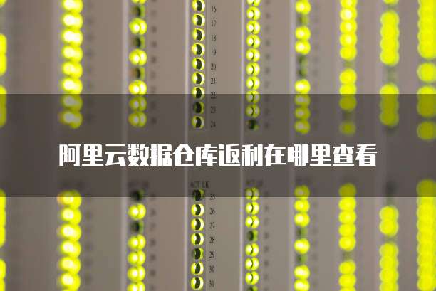 阿里云数据仓库返利在哪里查看