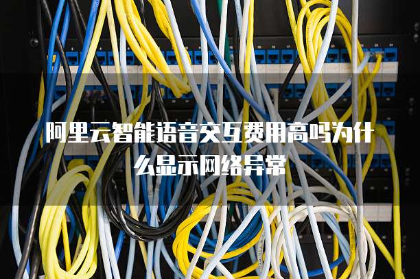 阿里云智能语音交互费用高吗为什么显示网络异常