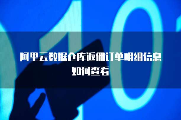 阿里云数据仓库返佣订单明细信息如何查看