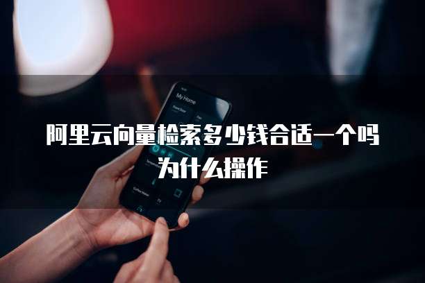阿里云向量检索多少钱合适一个吗为什么操作