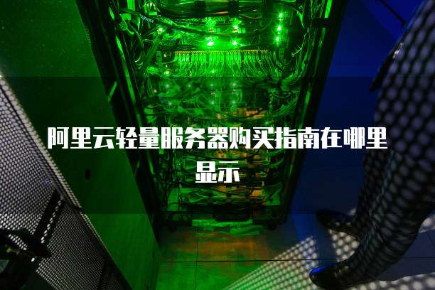 阿里云轻量服务器购买指南在哪里显示