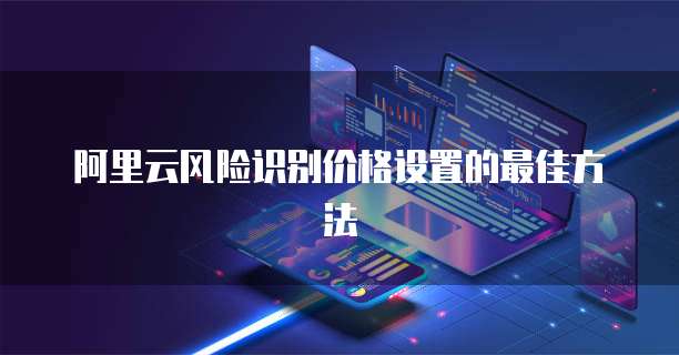 阿里云风险识别价格设置的最佳方法