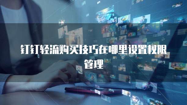 钉钉轻流购买技巧在哪里设置权限管理