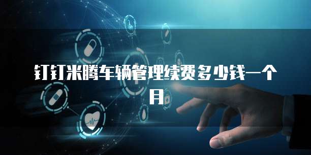 钉钉米腾车辆管理续费多少钱一个月