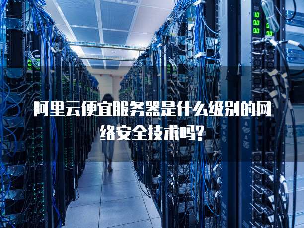 阿里云便宜服务器是什么级别的网络安全技术吗?