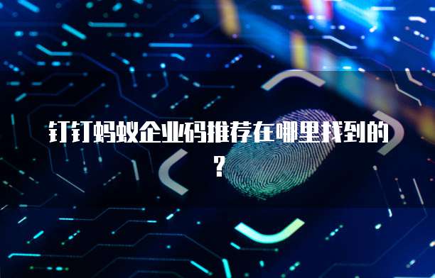 钉钉蚂蚁企业码推荐在哪里找到的?