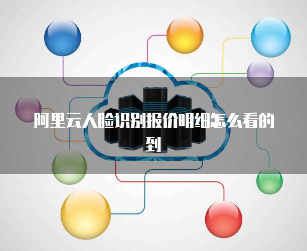 阿里云人脸识别报价明细怎么看的到