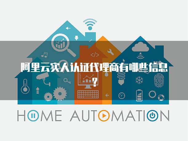 阿里云实人认证代理商有哪些信息?