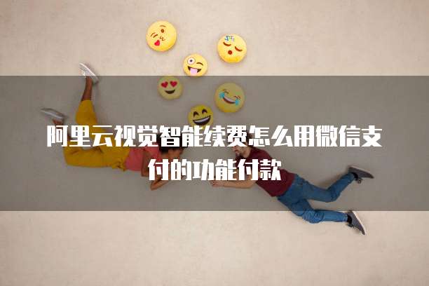阿里云视觉智能续费怎么用微信支付的功能付款