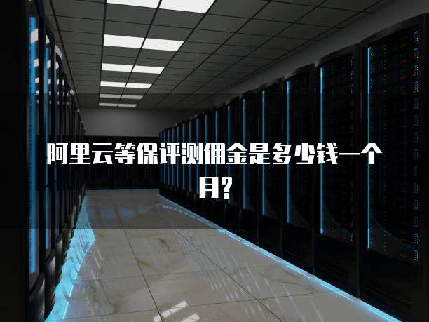 阿里云等保评测佣金是多少钱一个月?