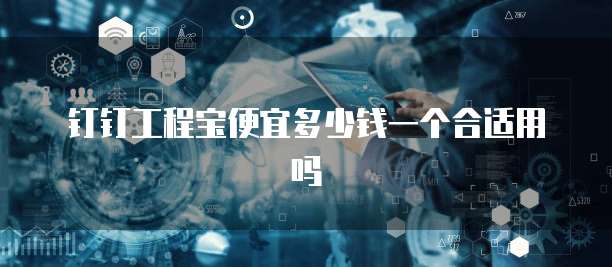 钉钉工程宝便宜多少钱一个合适用吗
