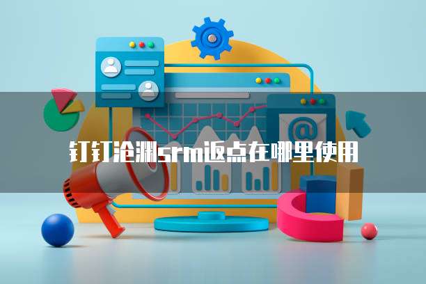 钉钉沧渊srm返点在哪里使用