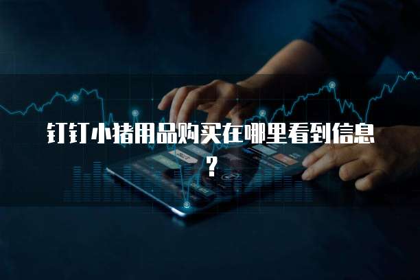 钉钉小猪用品购买在哪里看到信息?