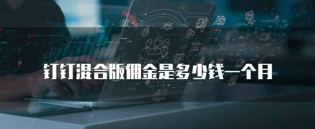 钉钉混合版佣金是多少钱一个月