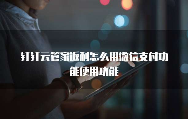 钉钉云管家返利怎么用微信支付功能使用功能