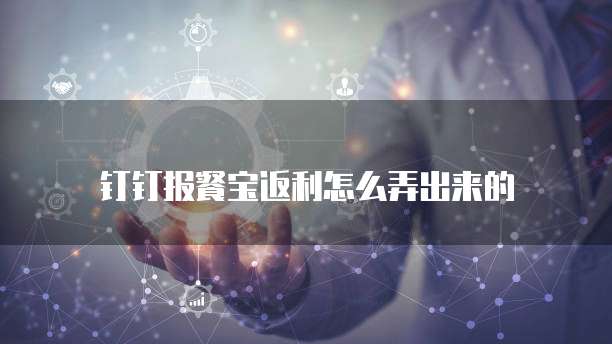 钉钉报餐宝返利怎么弄出来的
