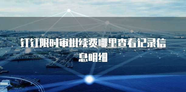 钉钉限时审批续费哪里查看记录信息明细