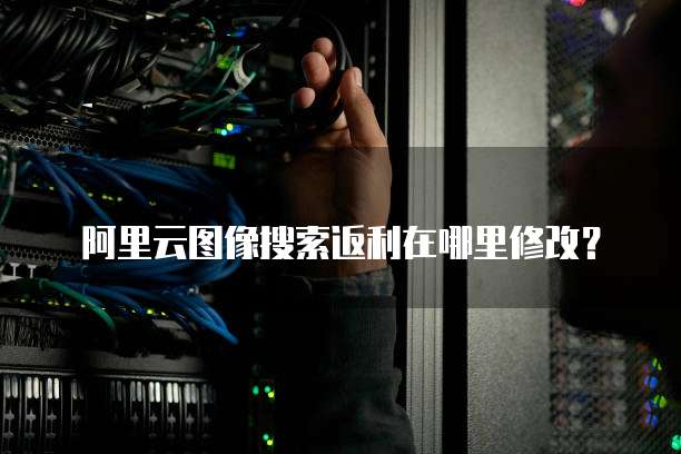 阿里云图像搜索返利在哪里修改？