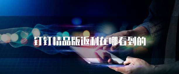 钉钉精品版返利在哪看到的