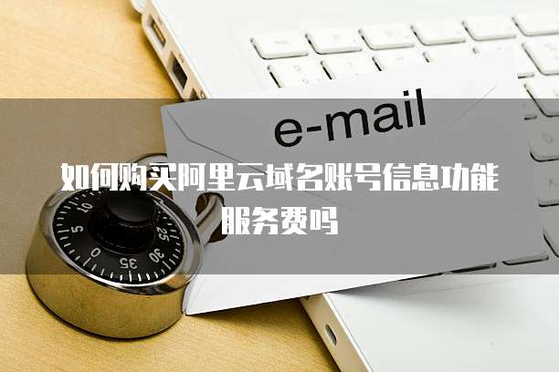 如何购买阿里云域名账号信息功能服务费吗