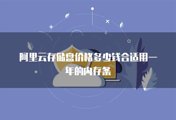 阿里云存储盘价格多少钱合适用一年的内存条