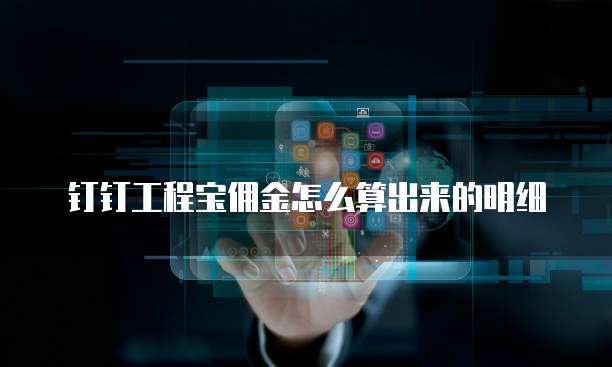 钉钉工程宝佣金怎么算出来的明细