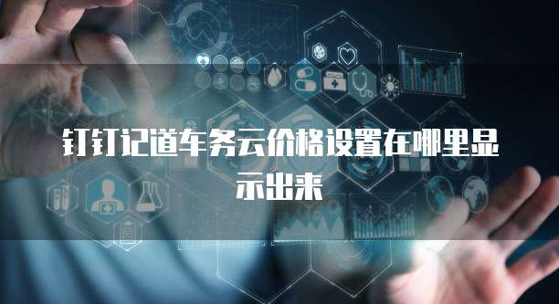 钉钉记道车务云价格设置在哪里显示出来
