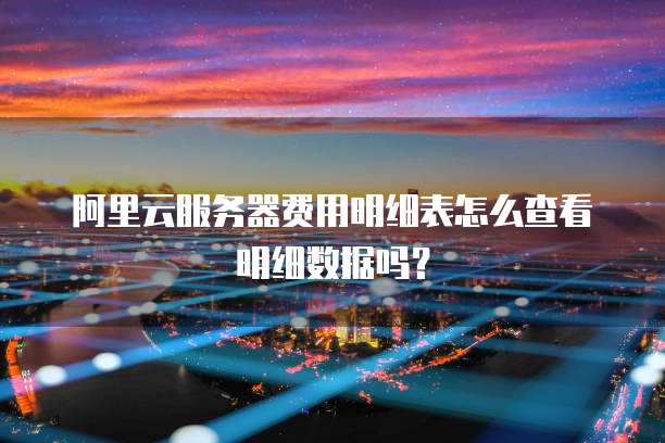 阿里云服务器费用明细表怎么查看明细数据吗?