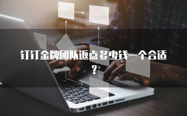 钉钉金牌团队返点多少钱一个合适?