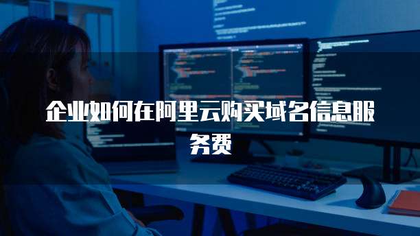 企业如何在阿里云购买域名信息服务费