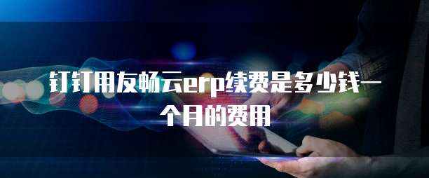 钉钉用友畅云erp续费是多少钱一个月的费用