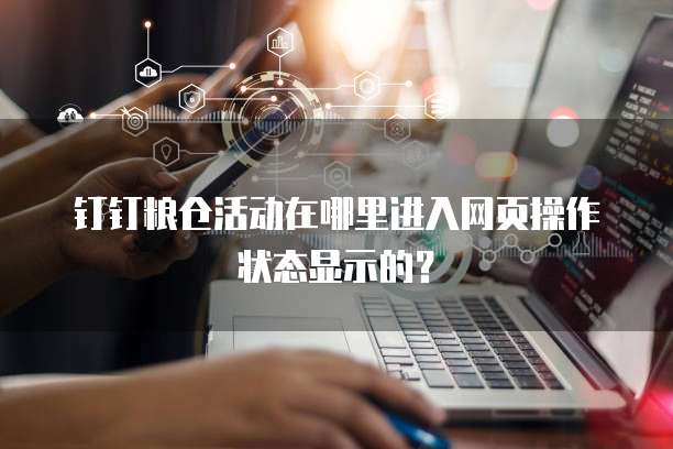 钉钉粮仓活动在哪里进入网页操作状态显示的?