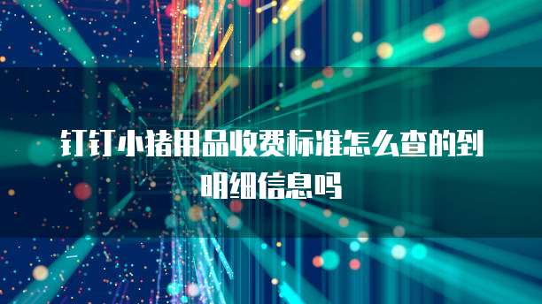 钉钉小猪用品收费标准怎么查的到明细信息吗